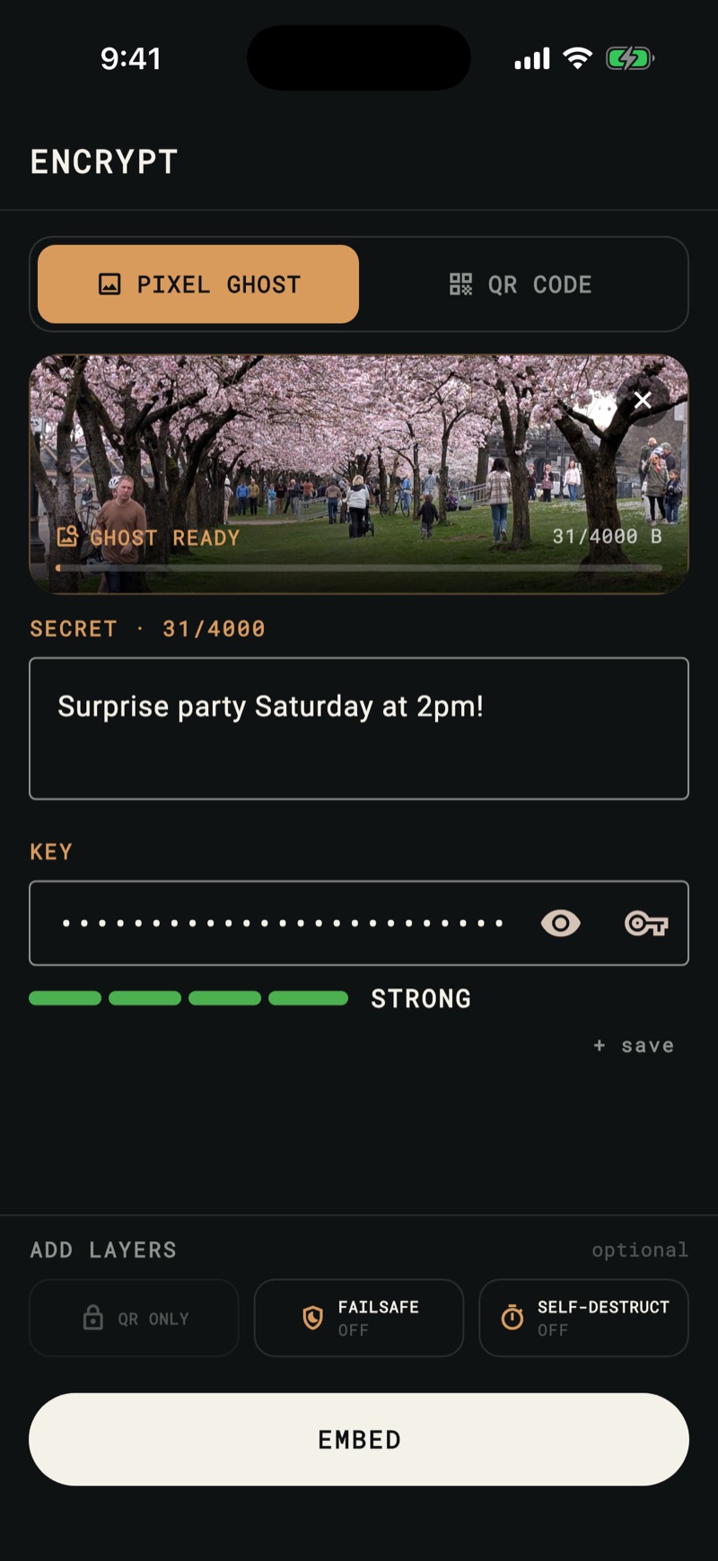 GhostCode Pixel Ghost compose screen: a chosen cover photo, a secret message, and a strong Key ready to embed