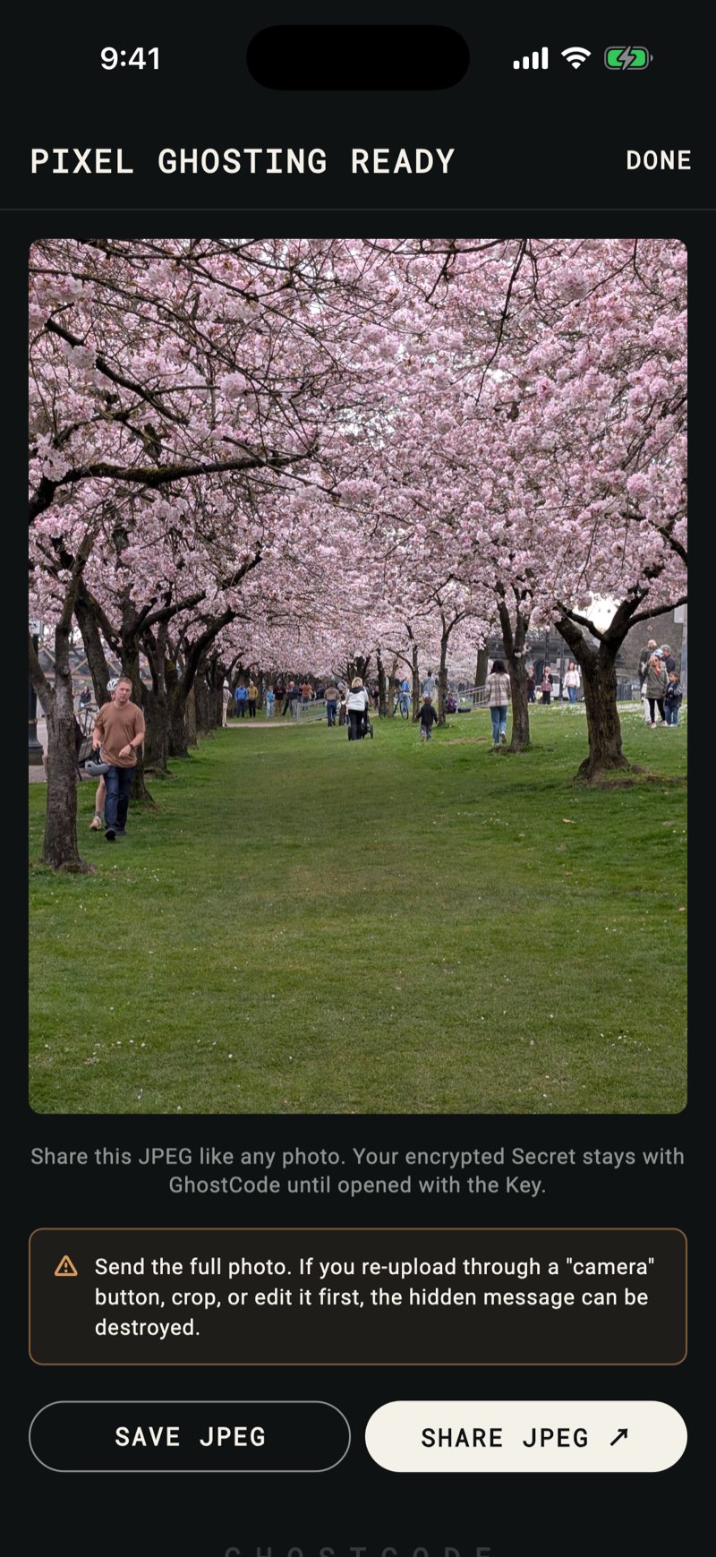 GhostCode showing a finished, ordinary-looking photo that secretly holds an encrypted message, ready to save or share as a normal JPEG